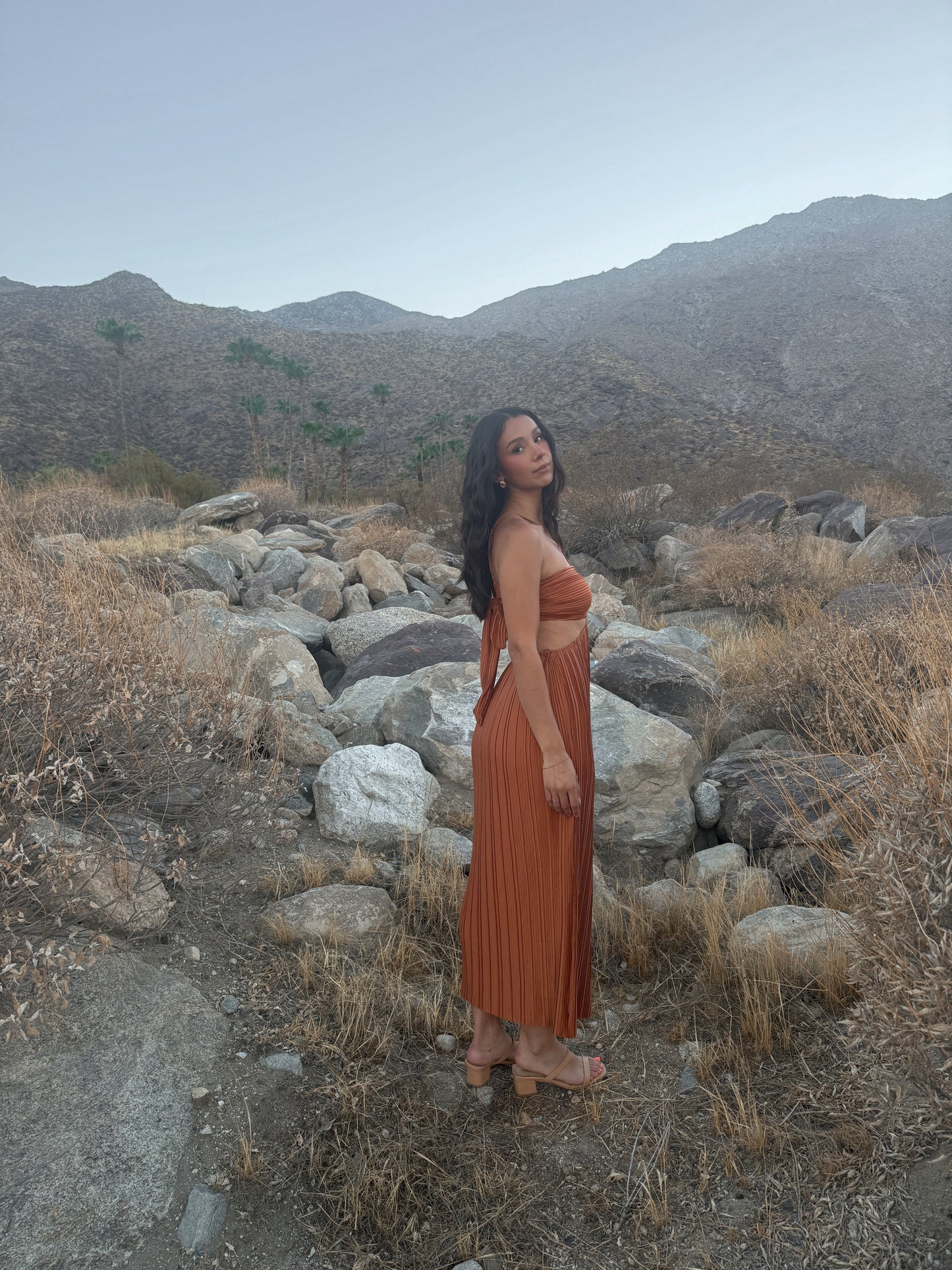 Desert X Dress