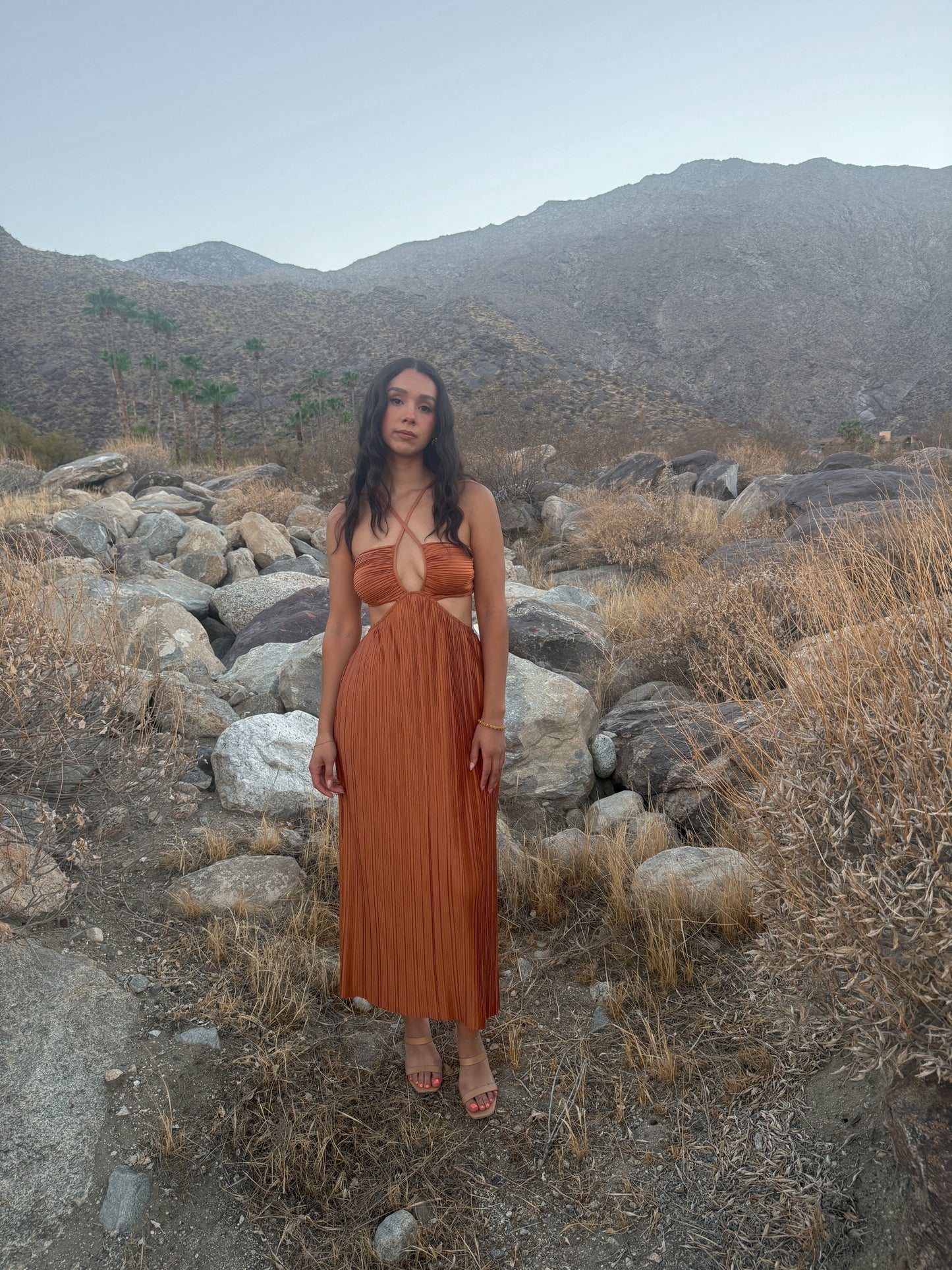 Desert X Dress